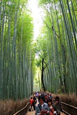 嵐山哪個海濱浴場好：從環境到服務，全方位評選