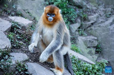 玉合公園風情與特色漫談